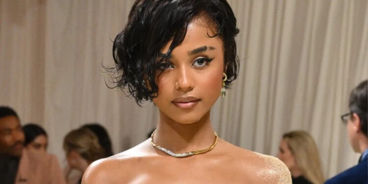 Met Gala 2024 : Tyla attire les regards de tous