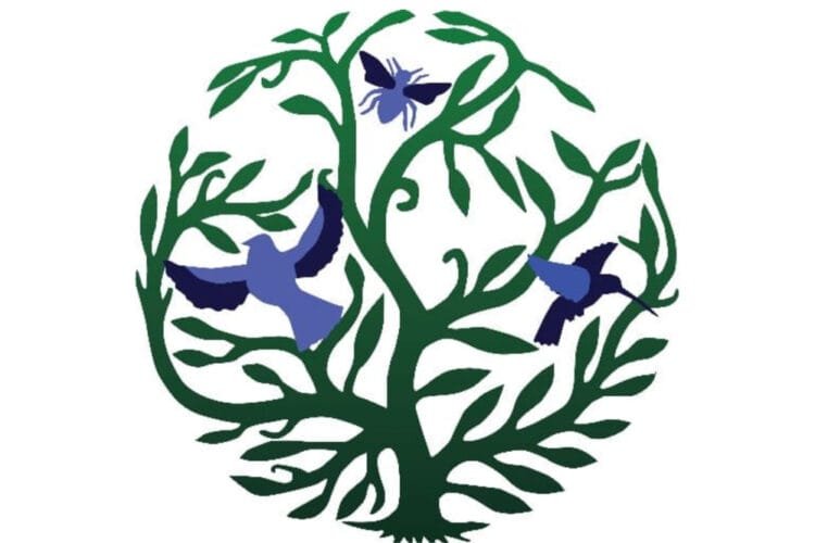 Wynne Farm en danger, Presnel Colas et Peterson Dorsainvil appellent à l'aide