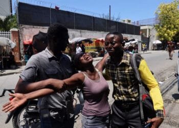 2024 L’année Des Mensonges Gouvernementales Et De La Vérité Des Armes