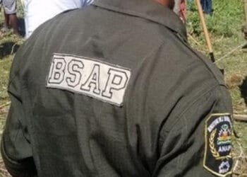 La résolution soutenant la Brigade de Surveillance des Aires Protégées (BSAP) constitue un véritable bluff